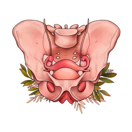 Salud Sexual y Suelo Pélvico