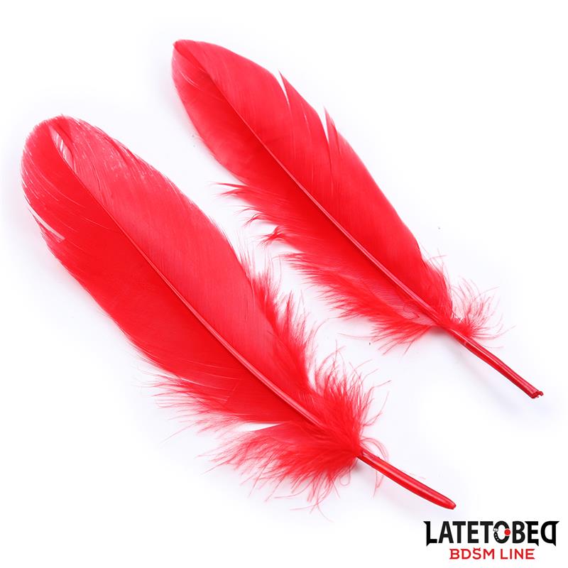 BDSM LINE Set de 3 Piezas antifaz esposas pluma - LATETOBED