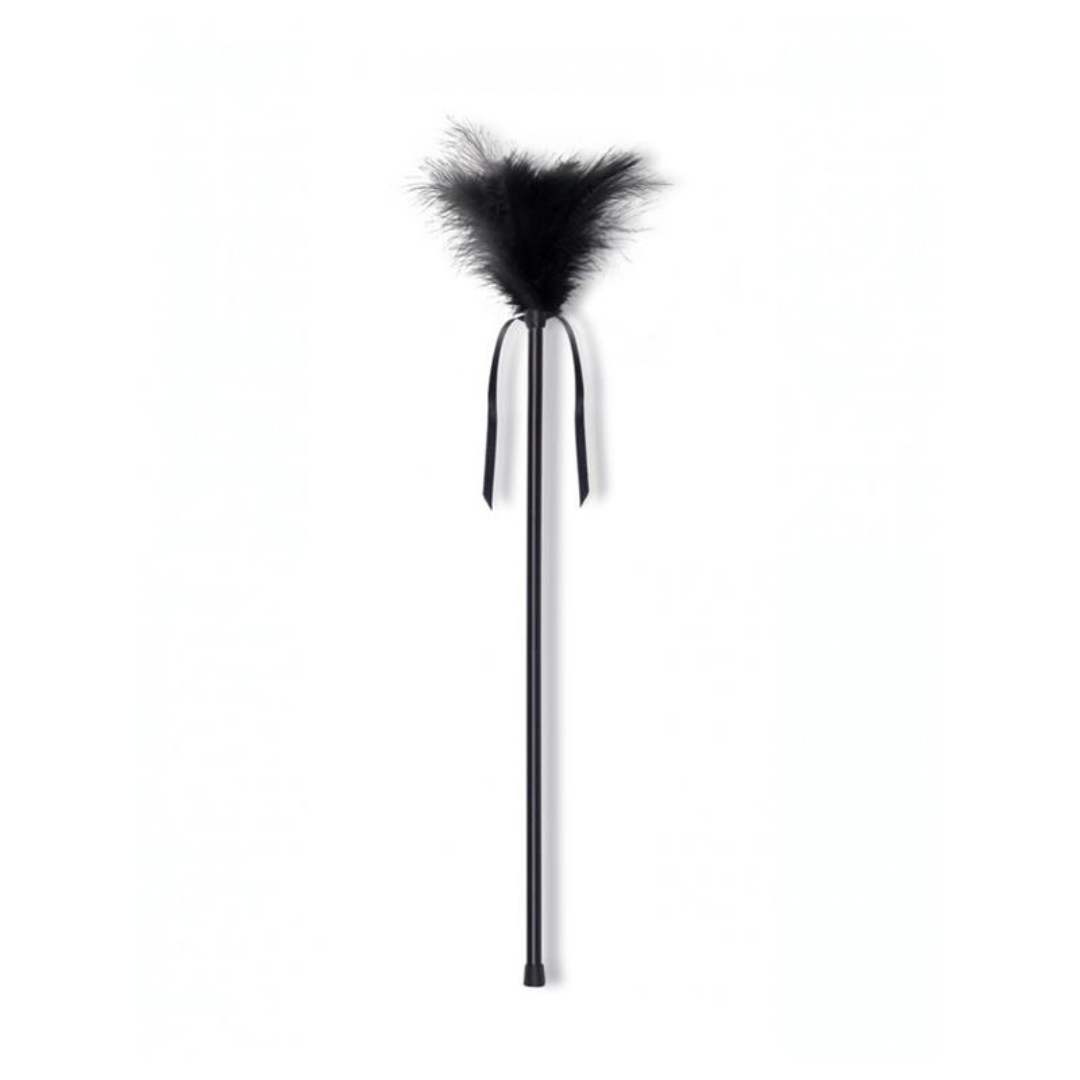 PLUMERO PLUMAS NEGRO - SECRET PLAY