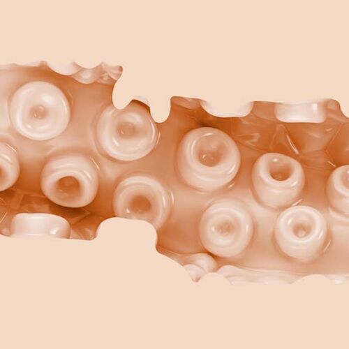 VAGINA SASHA NAKAMOTO - FLESHLIGHT FANTASY