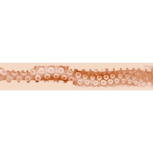 VAGINA SASHA NAKAMOTO - FLESHLIGHT FANTASY