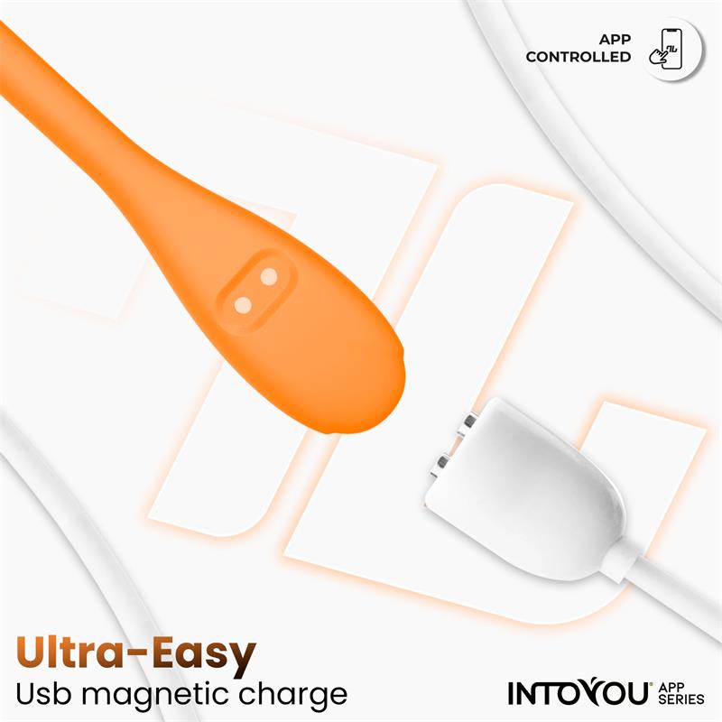 Huevo Logan Vibrador con APP Silicona Unibody Púrpura / naranja - INTOYOU APP SERIES
